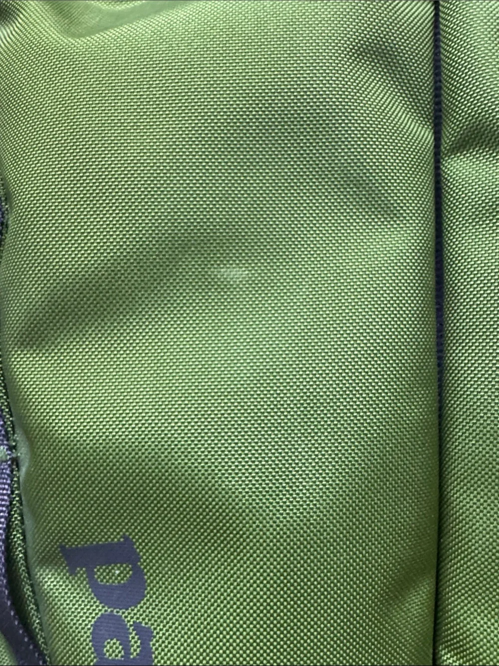 Patagonia Atom 18L Olive Green Backpack with Purple Accents